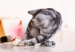 Juguete Interactivo "Wobble Feather" Pet Droid -Mascotas Productos Tienda melody tumbler plus 7