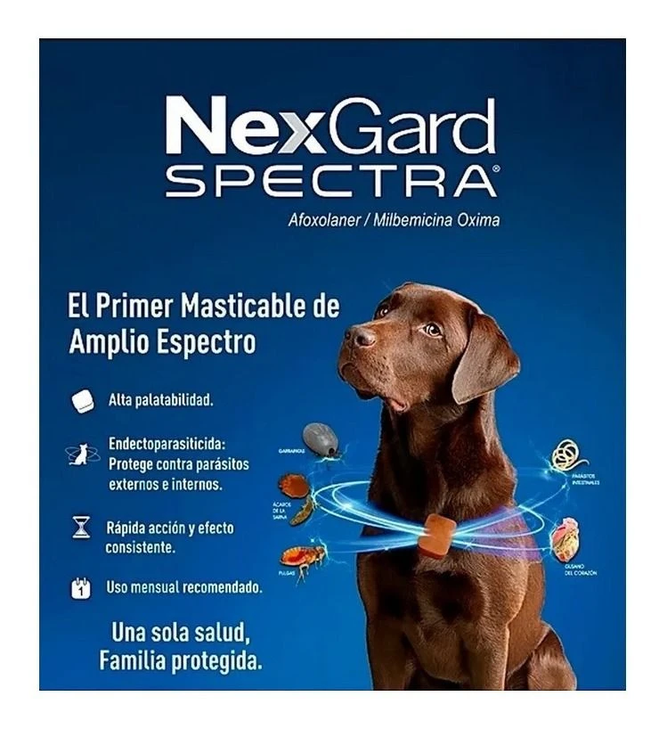 Nexgard Spectra Antiparasitario - 3 Tabletas 9 Nexgard Spectra Antiparasitario - 3 Tabletas - Imagen 7