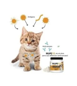 Suplemento Pre & Probióticos Nup! Pets Salmon -Mascotas Productos Tienda nuppets salmon 3