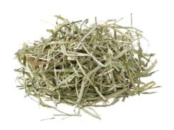 Heno "Orchard Grass Hay" Oxbow -Mascotas Productos Tienda orchard grass hay pasto