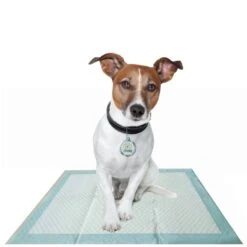 Alfombras De Adiestramiento "Home Guard" Para Perros -Mascotas Productos Tienda panos panales entrenamiento perros dog it home guard 100u d nq np 770905 mla25095055424 102016 f