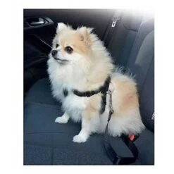 Cinturón Y Arnés De Seguridad Pawise Para Perros -Mascotas Productos Tienda pawise cinturon 2