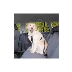 Cinturón Y Arnés De Seguridad Pawise Para Perros -Mascotas Productos Tienda pawise cinturon 3