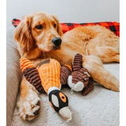 Peluche Faisán Con Sonido Tall Tails -Mascotas Productos Tienda peluche faisan tall tails 05