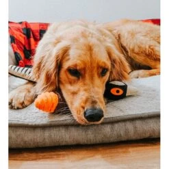 Peluche Faisán Con Sonido Tall Tails -Mascotas Productos Tienda peluche faisan tall tails 06