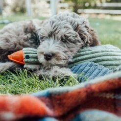 Peluche Pato Con Sonido Tall Tails -Mascotas Productos Tienda peluche pato tall tails 03 2