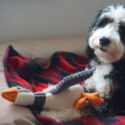 Peluche Pato Con Sonido Tall Tails -Mascotas Productos Tienda peluche pato tall tails 04 1