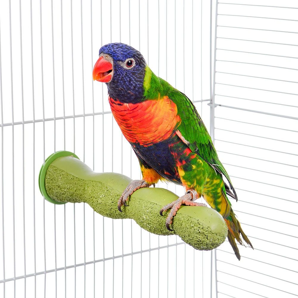 Percha De Cemento Para Aves 4 Percha De Cemento Para Aves - Imagen 2