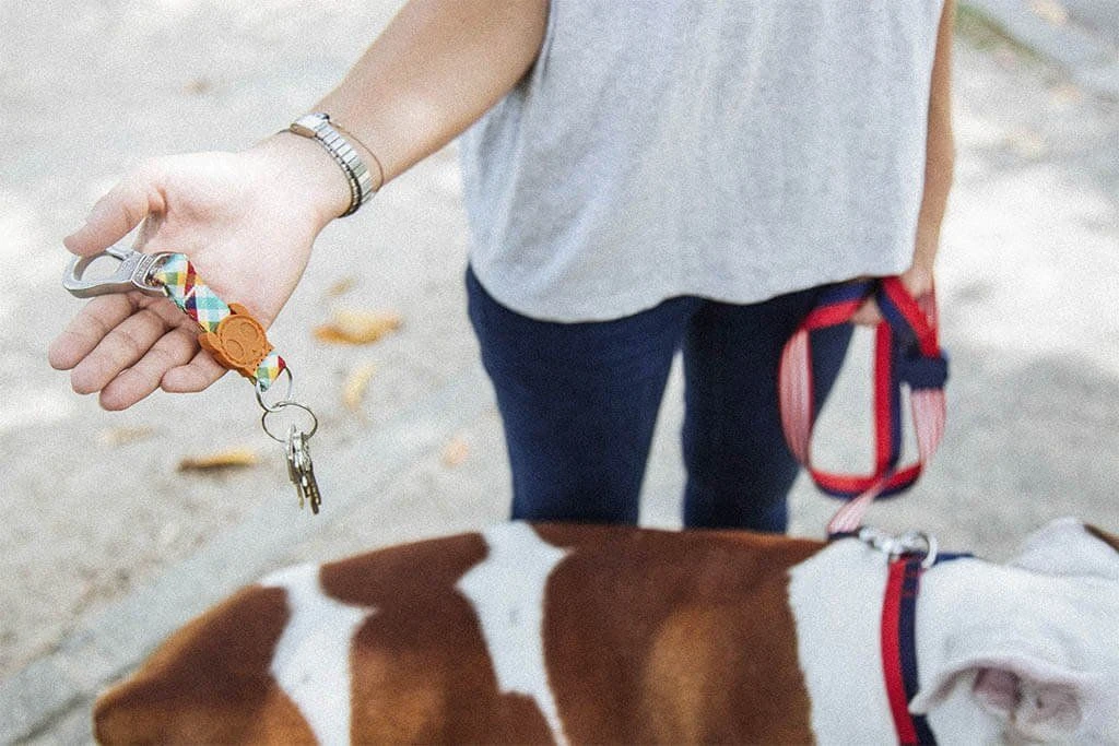 Llavero "Phantom" Zee.Dog 6 Llavero "Phantom" Zee.Dog - Imagen 4