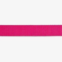 Collar Para Gatos "Pink Led" Zee.Cat -Mascotas Productos Tienda pink led collar 3