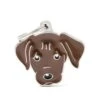 Placa Friends Perro "My Family" Labrador Chocolate -Mascotas Productos Tienda placa mf31chocolate 1
