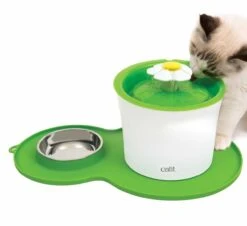 Individual Con Plato "Placemat Peanut Medium" 15 Individual Con Plato "Placemat Peanut Medium" -Mascotas Productos Tienda placemat verde 4