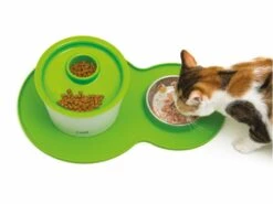 Individual Con Plato "Placemat Peanut Medium" 16 Individual Con Plato "Placemat Peanut Medium" -Mascotas Productos Tienda placemat verde 7