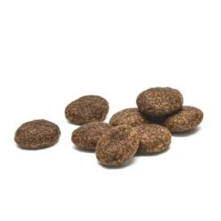 Cuidado Dental Proden PlaqueOff® Croq Bites Para Gatos -Mascotas Productos Tienda plaqueoff dental croq chats 1 1