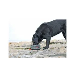Plato Plegable Kong Travel -Mascotas Productos Tienda plato plegable kong 5