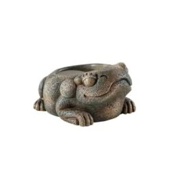 Plato Deco Ranita Azteca Exo Terra