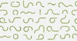 Catit Senses 2.0 Play Circuit -Mascotas Productos Tienda play3