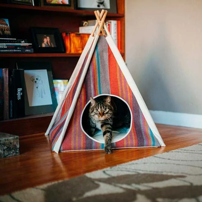 Play Carpa Teepee Horizont Para Mascotas 6 Play Carpa Teepee Horizont Para Mascotas - Imagen 4