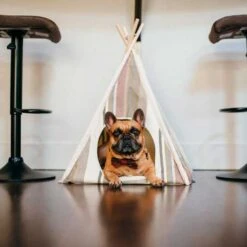Play Carpa Teepee Horizont Para Mascotas 13 Play Carpa Teepee Horizont Para Mascotas -Mascotas Productos Tienda play carpa teepet horizon seacost 3