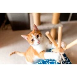 Play Carpa Teepee Classic Para Mascotas -Mascotas Productos Tienda play carpa teepet morrocan 3