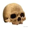 Escondite Fósil Primate Skull Exo Terra -Mascotas Productos Tienda primate skull 1