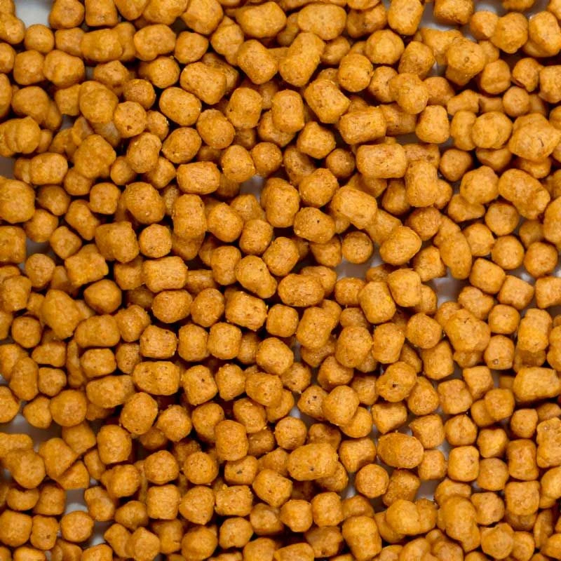 Psittacus Alimento Parrot Maintenance 4 Psittacus Alimento Parrot Maintenance - Imagen 2