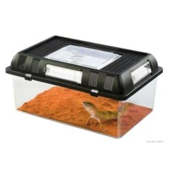 Terrario Apilable Para Crías Exo Terra -Mascotas Productos Tienda pt2270 terrario medium 2