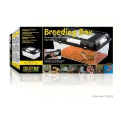 Terrario Apilable Para Crías Exo Terra -Mascotas Productos Tienda pt2270 terrario medium 3