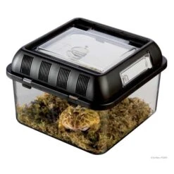 Terrario Apilable Para Crías Exo Terra -Mascotas Productos Tienda pt2270 terrario small 2