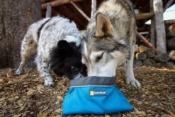 Plato Plegable "Quencher" Ruffwear -Mascotas Productos Tienda quencher perritos