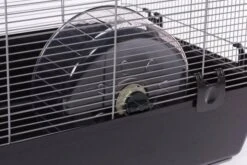 Rueda De Ejercicios Silenciosa -Mascotas Productos Tienda quiet wheel 8