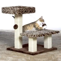 Rascador Con Terraza Kitty Power Paws -Mascotas Productos Tienda rascador terraza tigre 4