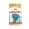 Royal Canin Poodle Puppy 1 Royal Canin Poodle Puppy -Mascotas Productos Tienda royalcanin poodle puppy
