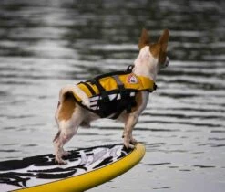 Chaleco Salvavidas "Micro DFD" EzyDog -Mascotas Productos Tienda salvavidas micro dfd 04