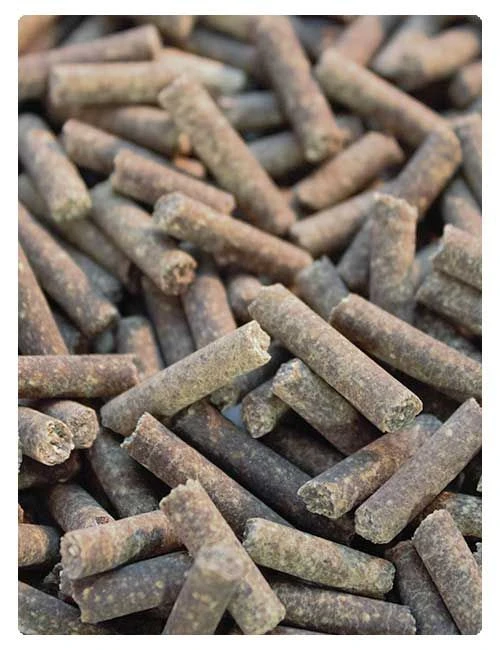 Arena Sanitaria De Algas Eco-Litter Classic 3,6 Kg 4 Arena Sanitaria De Algas Eco-Litter Classic 3,6 Kg - Imagen 2