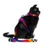 Set Arnés Y Correa Para Gatos "Prisma" Zee.Cat 2 Set Arnés Y Correa Para Gatos "Prisma" Zee.Cat -Mascotas Productos Tienda set prisma gato 1