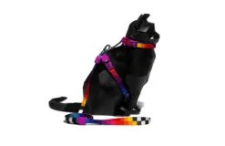 Set Arnés Y Correa Para Gatos "Prisma" Zee.Cat