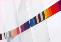 Set Arnés Y Correa Para Gatos "Prisma" Zee.Cat -Mascotas Productos Tienda set prisma gato 6