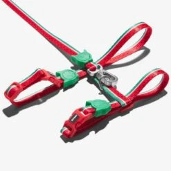 Set Arnés Y Correa Para Gatos "Lola" Zee.Cat -Mascotas Productos Tienda set arnes lola 2