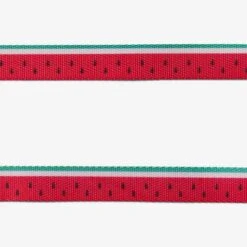 Set Arnés Y Correa Para Gatos "Lola" Zee.Cat -Mascotas Productos Tienda set arnes lola 4