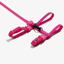 Set Arnés Y Correa Para Gatos "Pink Led" Zee.Cat -Mascotas Productos Tienda set arnes pinkled 2