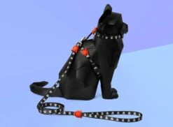 Set Arnés Y Correa Para Gatos "Skull" Zee.Cat -Mascotas Productos Tienda skull02 2