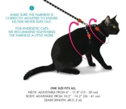 Set Arnés Y Correa Para Gatos "Skull" Zee.Cat -Mascotas Productos Tienda skull03 1 4