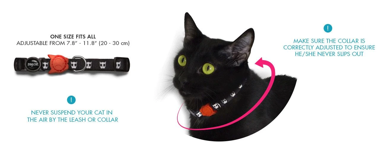 Collar Para Gatos "Prisma" Zee.Cat 8 Collar Para Gatos "Prisma" Zee.Cat - Imagen 6