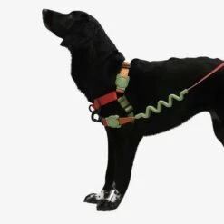 Arnés Anti Tirones "Soft-Walk" Bit Zee.Dog -Mascotas Productos Tienda softwalk bit 3