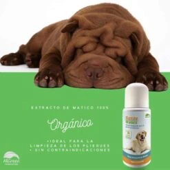 Spray De Matico 9 Spray De Matico -Mascotas Productos Tienda spray de matico 4