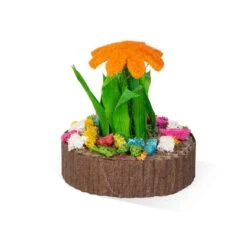 Mini Jardín De Suculentas -Mascotas Productos Tienda suculentas pack 4