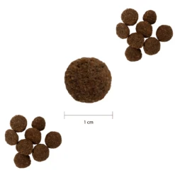 Cuidado Dental Proden PlaqueOff® Croq Bites Para Gatos -Mascotas Productos Tienda sunichups 3