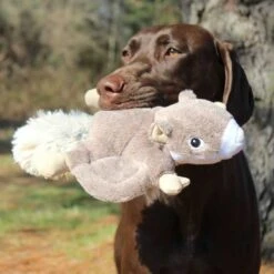 Peluche Ardilla Voladora Con Sonido Y Cuerda Interior Tall Tails -Mascotas Productos Tienda tall tails ardilla voladora 3