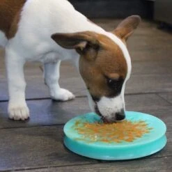 Bowl Para Lamer Con Ventosa Tall Tails -Mascotas Productos Tienda talltails bowl lamer 4